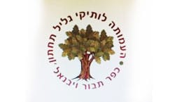 ענת יבין, מרכז גיל הגליל